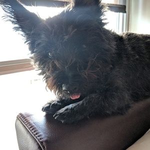 Meet your Posher, An